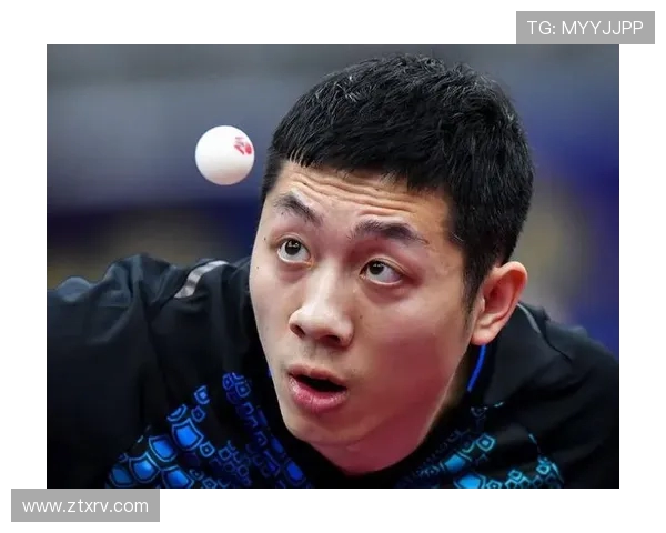 西安羽毛球队在总决赛积分榜中以54分稳居第一名展现强劲实力